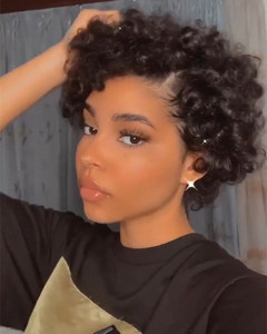 10 Inch Short Curly Wigs For African American Women The Same As The Hairstyle In The Picture qu