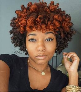  10 Inch Curly Wigs For African American Women The Same As The Hairstyle In The Picture al