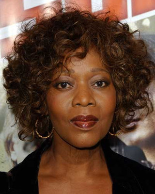 10 Inch Brown Curly Wigs For African American Women The Same As The Hairstyle In The Picture vw