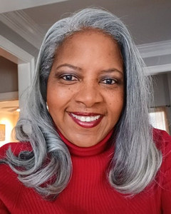 14 Inch Gray Bob Wigs For African American Women High Quality Popular Natural Fashion Wigs ql