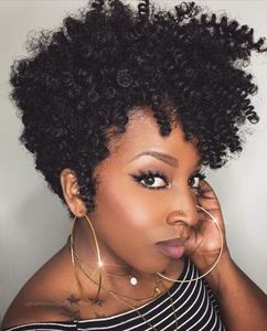 8 Inch Short Curly Wigs For African American Women The Same As The Hairstyle In The Picture fl