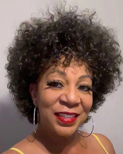 10 Inch Short Curly Wigs For African American Women The Same As The Hairstyle In The Picture vn