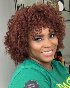 12 Inch Curly Bob Wigs For African American Women The Same As The Hairstyle In The Picture wd