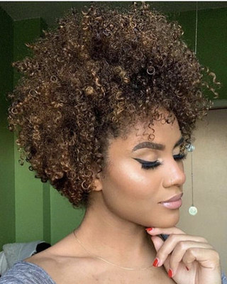 10 Inch Short Curly Wigs For African American Women The Same As The Hairstyle In The Picture wj