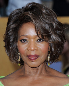 10 Inch Short Bob Wigs For African American Women The Same As The Hairstyle In The Picture vr